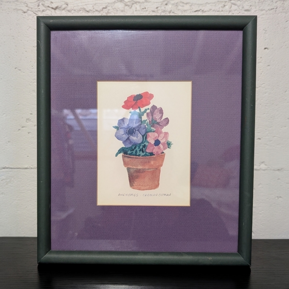 Anenomes Carolyn Oltman Framed Print